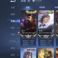 【王者荣耀】安卓QQ区账号 战力14394，段位王者，英雄125个，皮肤240个 账号干净安全