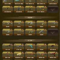 穿越火线成品账号317，，L.102荣耀元帅，13传说/66 王者/9炫金/261英雄